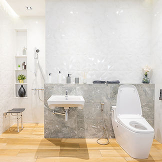 Disability and Grant Assisted bathrooms