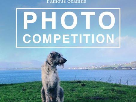 Win a free holiday in Dingle