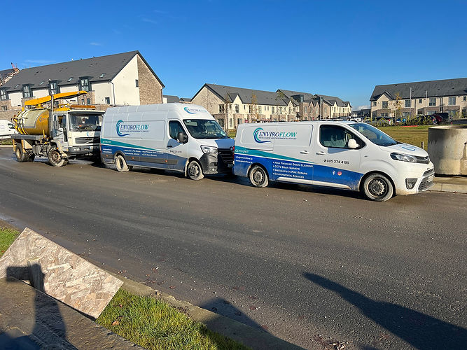 Rodent Investigation Leinster