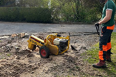 Stump grinding