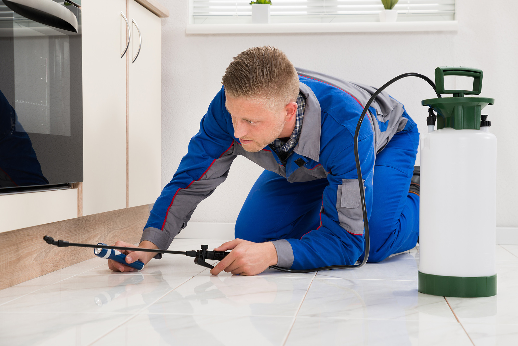 SWAT Pest Control | Pest Control | Louth, Meath, & Dublin
