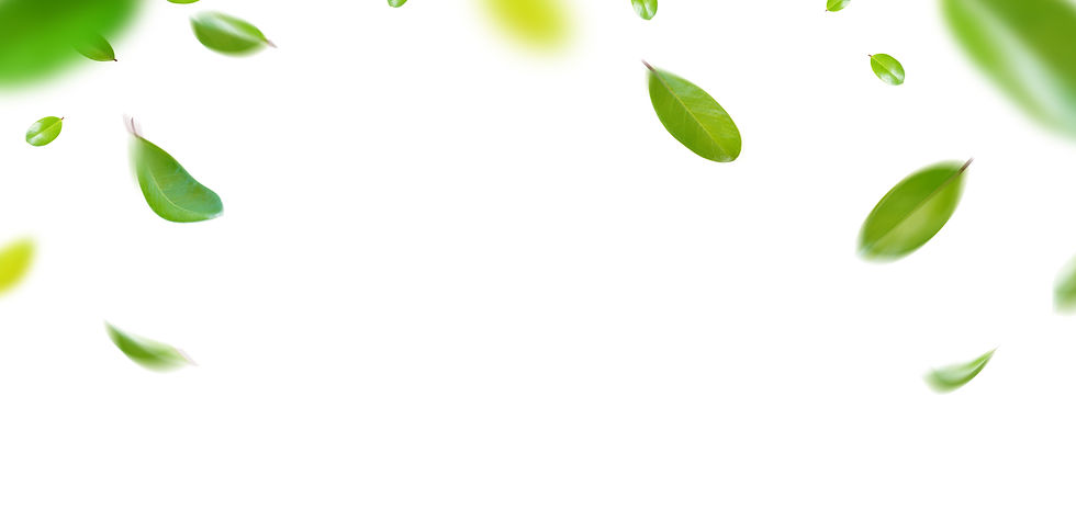 shutterstock_2275187509.jpg