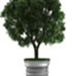 Outdoor Lighting Ireland