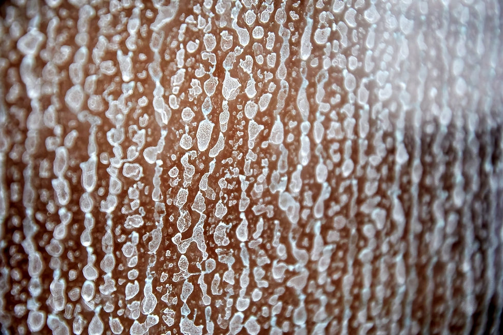 Best Tips to Remove Limescale in Your Bathroom for a Sparkling Clean Space
