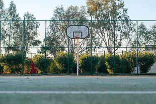 Sport Rebound Fencing