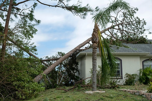Storm Damage