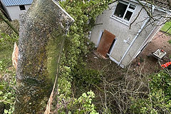 View from atop a tree