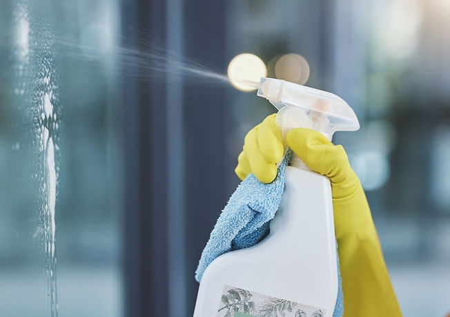Cleaning Services