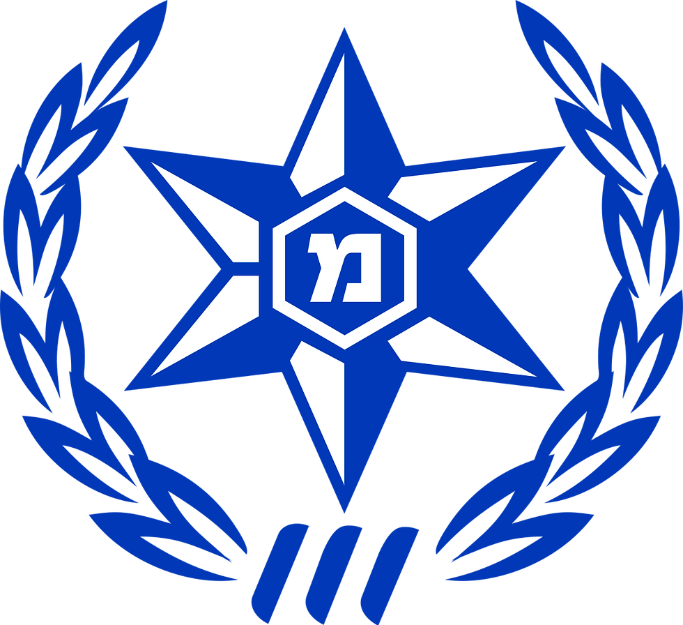 משטרת ישראל
