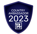 T4 CA23 Badge.png