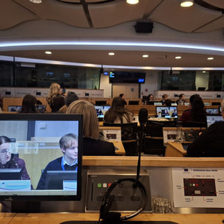 European Economic and Social Committee (EESC)