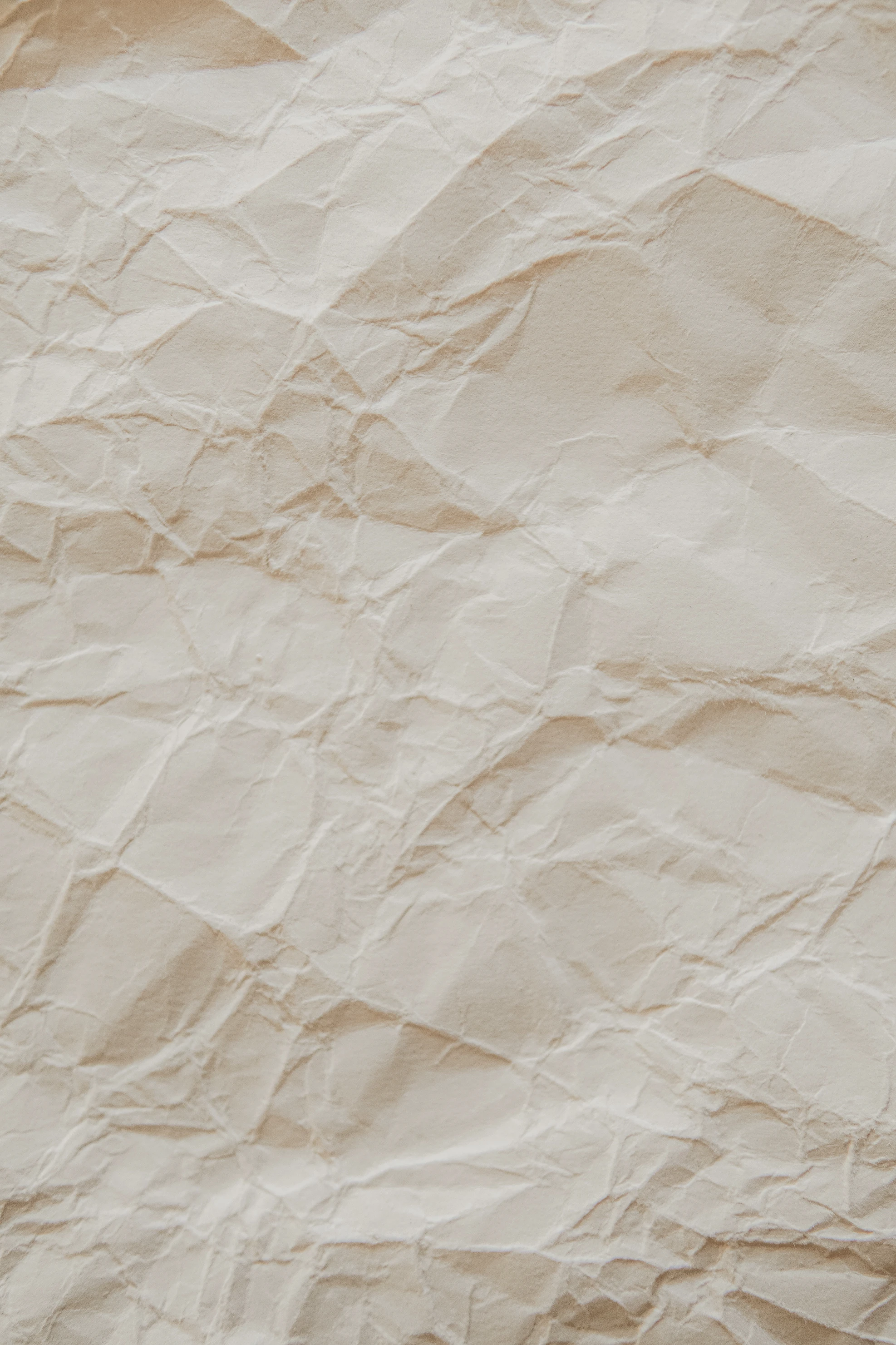 photo-1603484477859-abe6a73f9366.webp