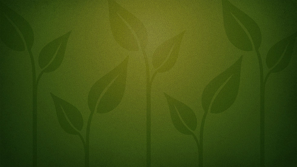 the_life_of_a_seed-background-Wide 16x9.jpg