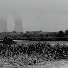 POLLUTED POWER! How Koradi & Khaperkheda Thermal Power Stations are Impacting the Environment.