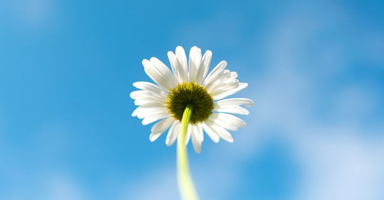 【湯姆是個濫好人】