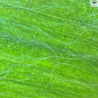 macro
