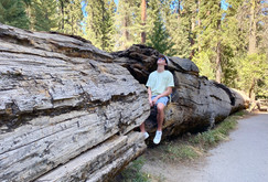 Sequoia National Park