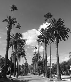 Palm Street