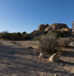 Joshua Tree National Park