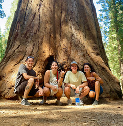 Sequoia National Park