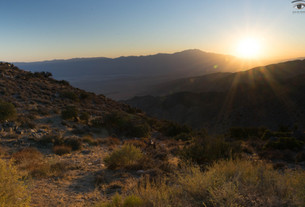 Joshua Tree National Park
