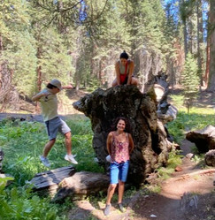 Sequoia National Park