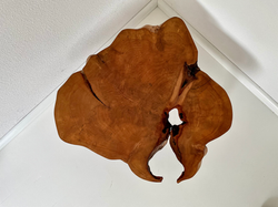 Bijzettafel van Perenhout