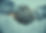 iStock-679955418_edited.jpg