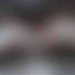 Temporary Curtain Walls