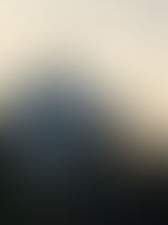 Charleston, WV - Only Global Wrap remained after the tornado.  GW Shrink Wrap Scaffolding