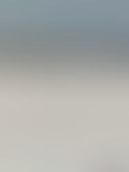 Lancaster, PA - Temporary Roof