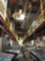 Suspended Ceiling - Interior Protection