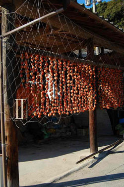 松梅の干し柿2007.12.5 大和町　松梅 020