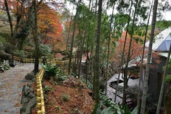 2017.12.1 十可苑　立石晴美美術館横　155