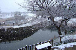 2009.12.31 多布施川湖畔公園 001