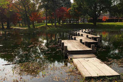 多布施川湖畔公園　2009.11.28 多布施川 036