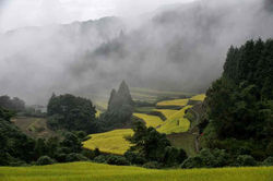 2017.9.22 蕨野の棚田と彼岸花 042