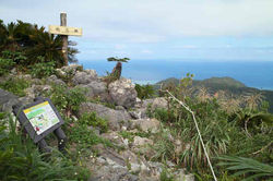 2011.10.29 坊主森　塩屋富士　SDIM0682