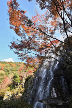 2017.12.1 十可苑　文殊の滝  16-80mm 051