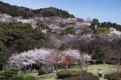 2010.03.27 金立公園 006