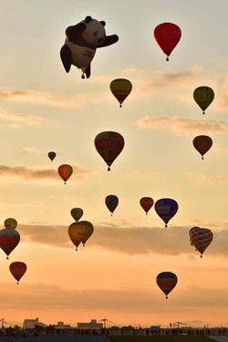 2016.11.02 佐賀熱気球世界選手権D-5500 050