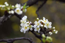 2010.03.14 金立公園 016