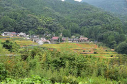 2017.9.21 江利山の棚田と彼岸花 098