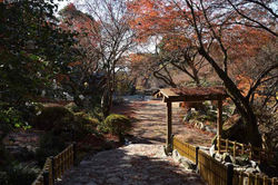 2017.12.1 十可苑 　立石晴美美術館入口横　16-80mm 040