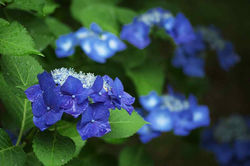 2010.06.19 金立公園 010