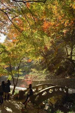 清水観音　2010年11月21日　SDIM0120