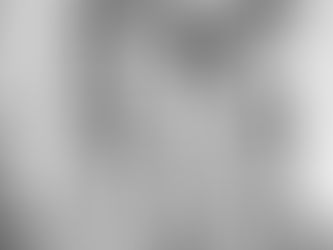 Litchfield Centennial - 1969