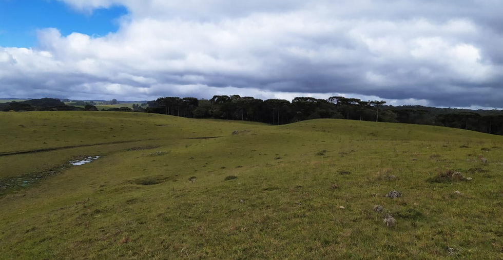 Área Rural Terreno a Venda em Gramado Canela RS - Imobiliária em Gramado Canela Imóvel Serra