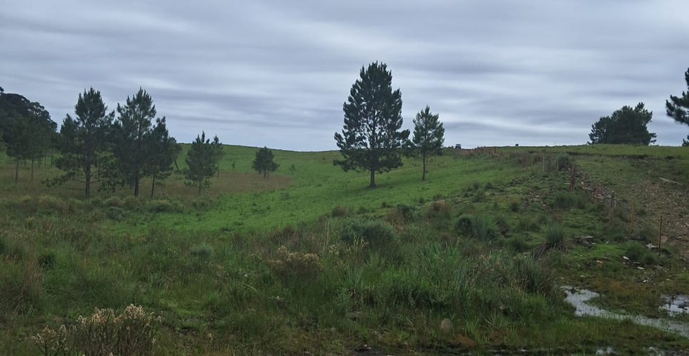 Área Rural Terreno a Venda em Gramado Canela RS - Imobiliária em Gramado Canela Imóvel Serra