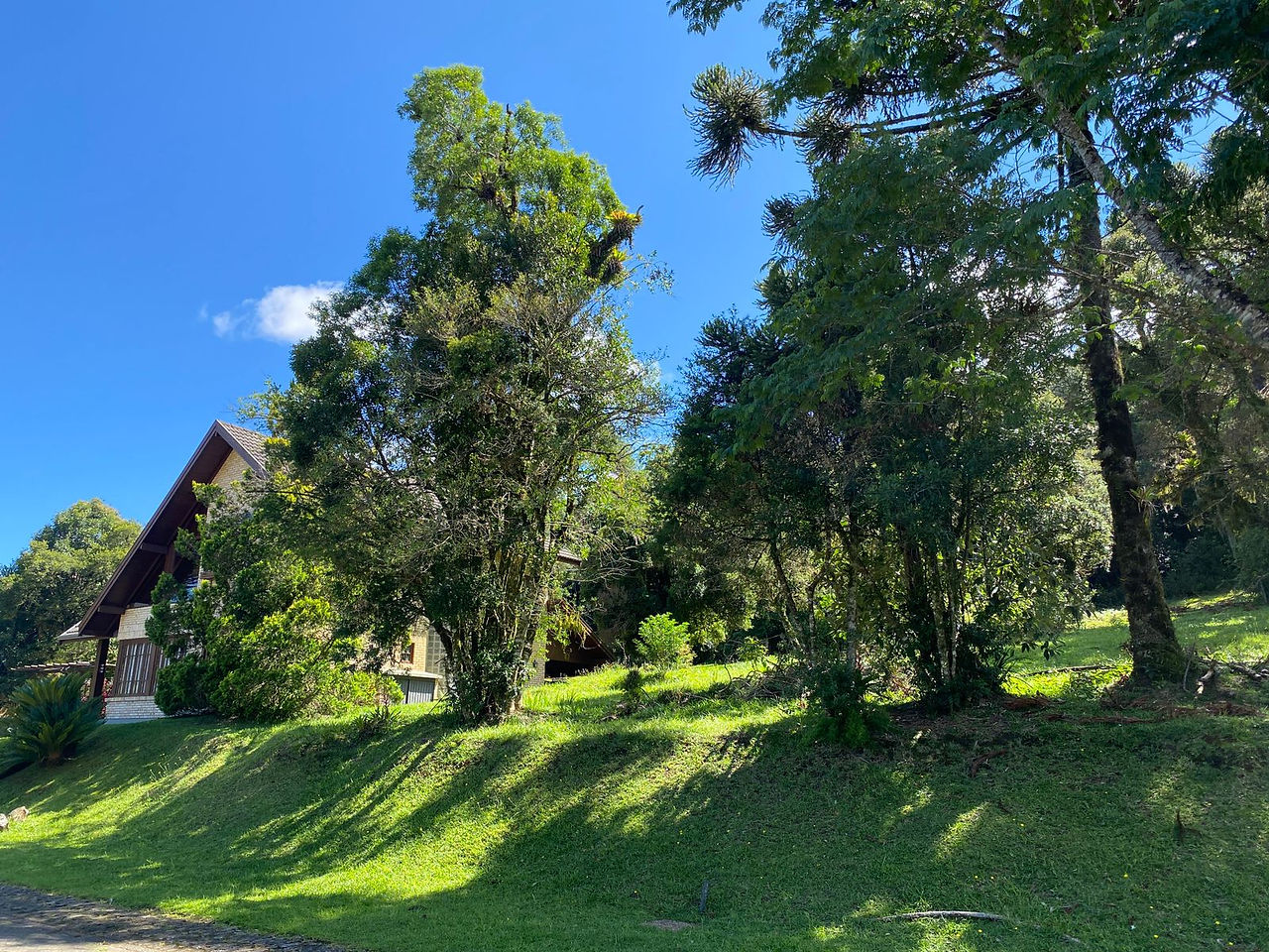 Terreno Quinta da Serra Canela